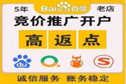 SEM竞价广告的智能优化：成功案例解读